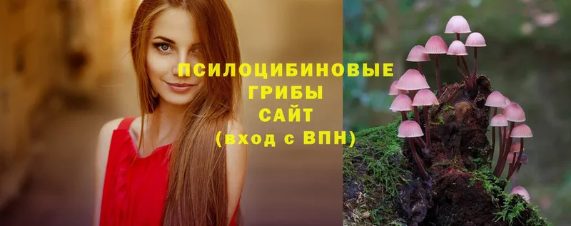 Галлюциногенные грибы Psilocybe  Белоярский 